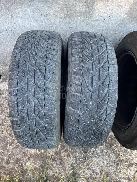 Riken 185/60 R15 Zimska