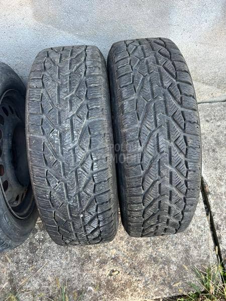 Riken 185/60 R15 Zimska
