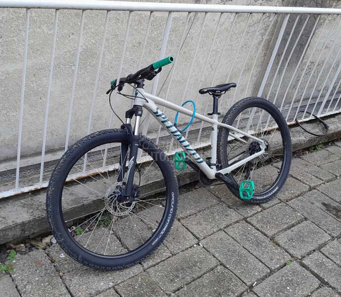 Specialized rockhopper 29