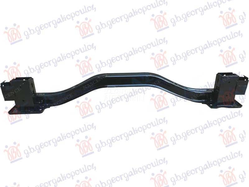 SINA ZADNJEG BRANIKA