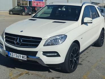 Mercedes Benz ML 250 