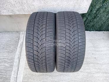 Minerva 255/45 R18 Zimska