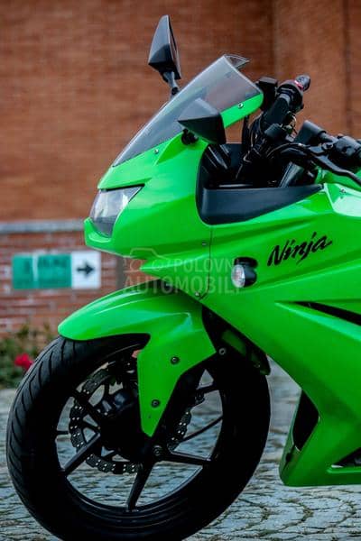 Kawasaki NINJA 250 R