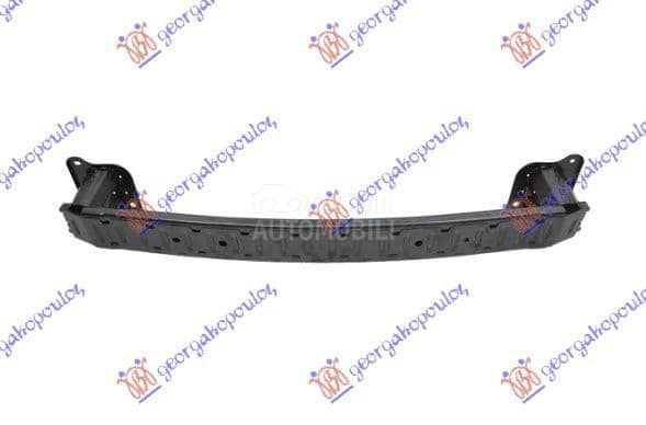 SINA ZADNJEG BRANIKA