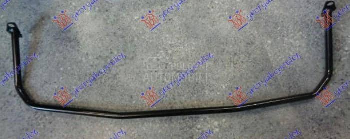 SINA PREDNJEG BRANIKA GORNJA