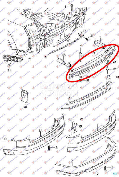 SINA ZADNJEG BRANIKA