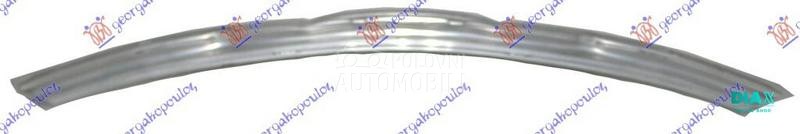 SINA PREDNJEG BRANIKA