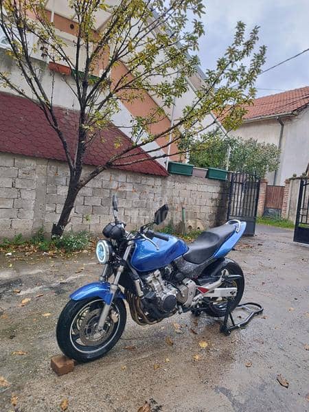 Honda hornet
