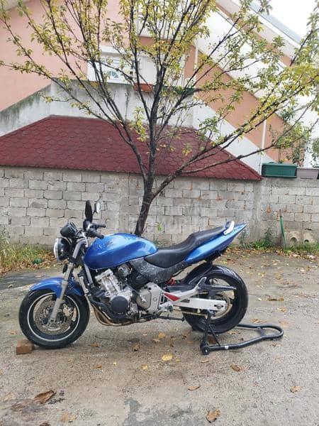Honda hornet