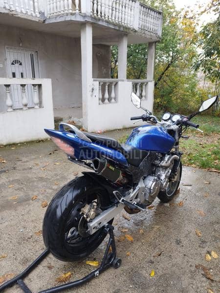 Honda hornet