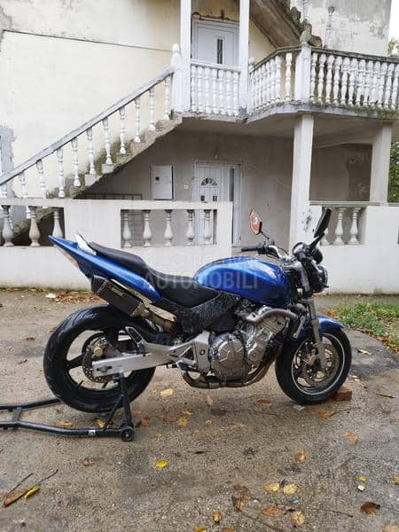 Honda hornet