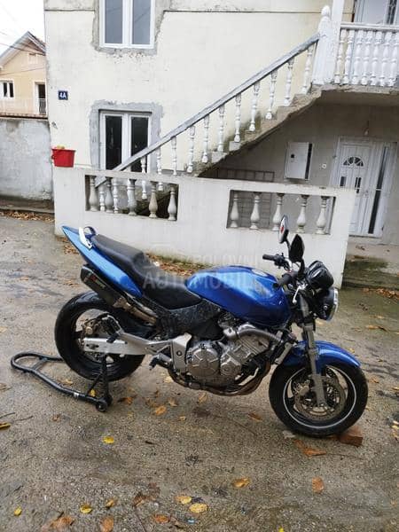 Honda hornet