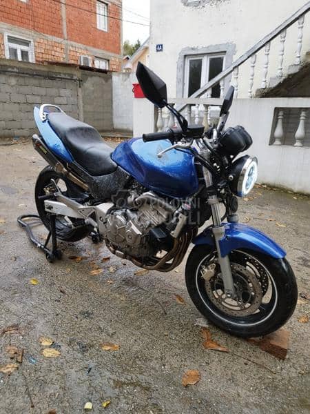 Honda hornet
