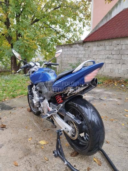 Honda hornet