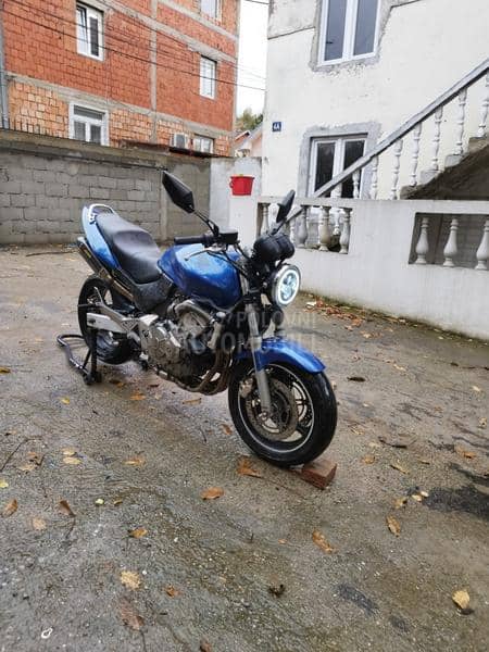 Honda hornet