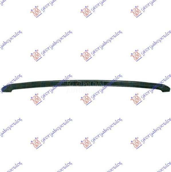 SINA PREDNJEG BRANIKA