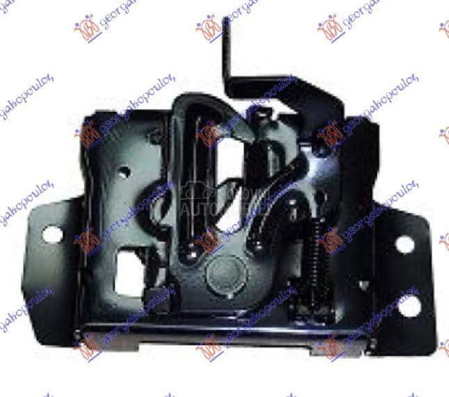 BRAVA HAUBE NA VEZNOM LIMU