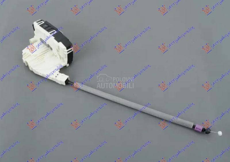 BRAVA ZADNJIH VRATA...