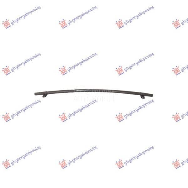 SINA PREDNJEG BRANIKA DONJA