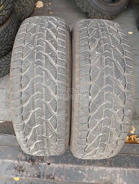 Taurus 195/65 R15 Zimska