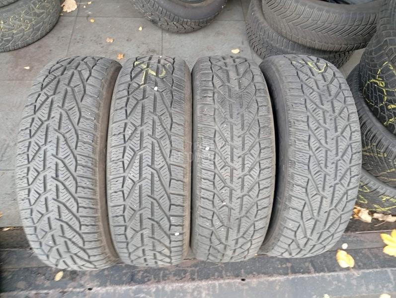 Taurus 195/65 R15 Zimska