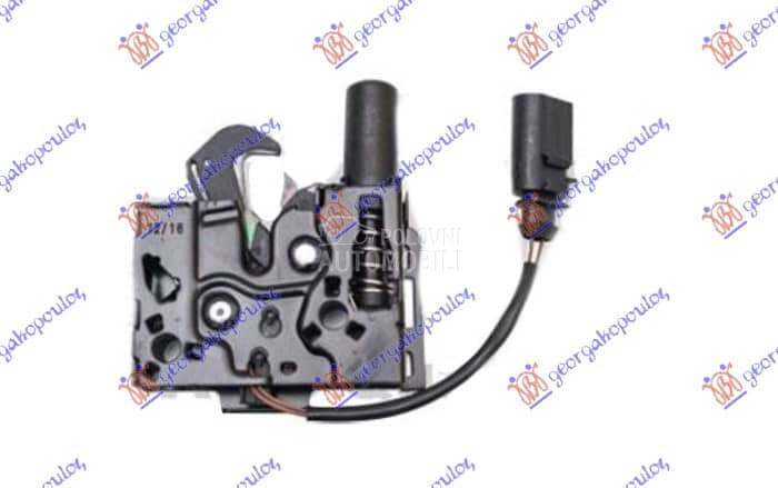 BRAVA HAUBE NA VEZNOM LIMU