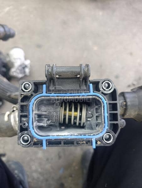 kuciste termostata 1,5bluhdi