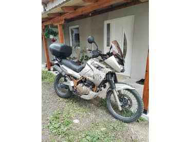 Kawasaki kle