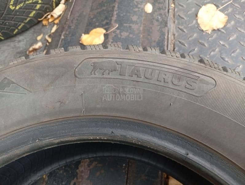 Taurus 195/65 R15 Zimska