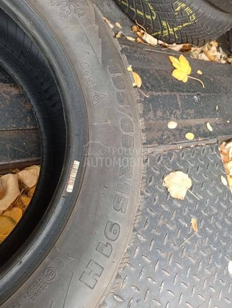 Taurus 195/65 R15 Zimska