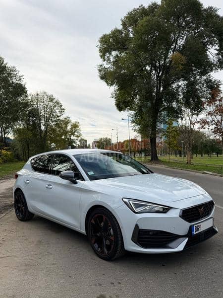 Cupra Leon eTSI 2024