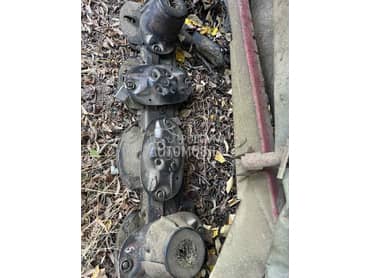 Kuhn Kunova kosacica