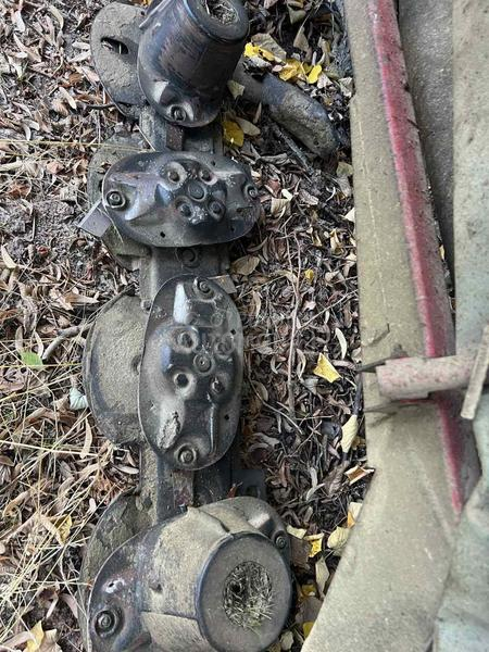 Kuhn Kunova kosacica