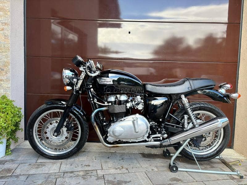 Triumph THRUXTON