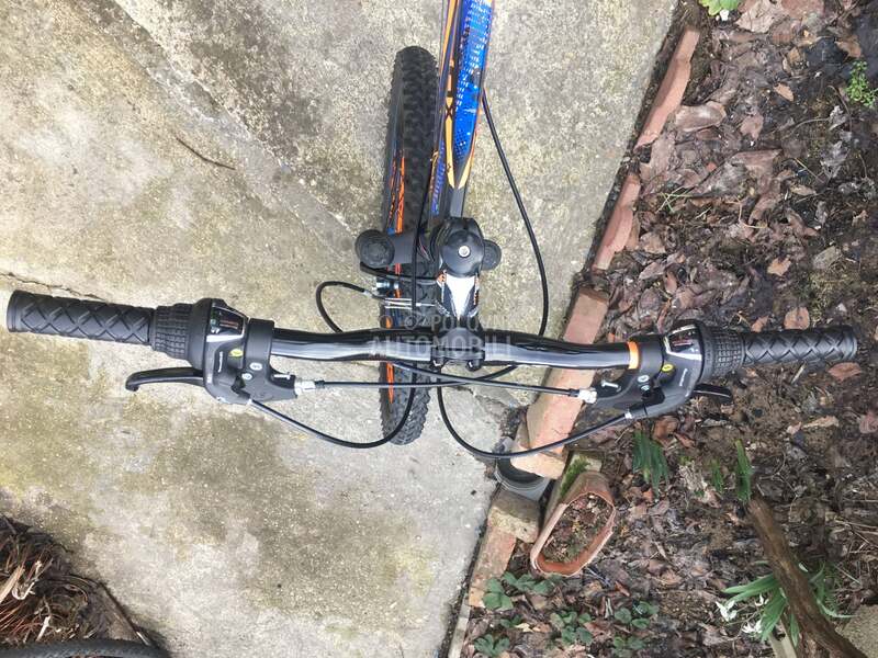 Visitor Fox 240 Crno Plavo Oranz