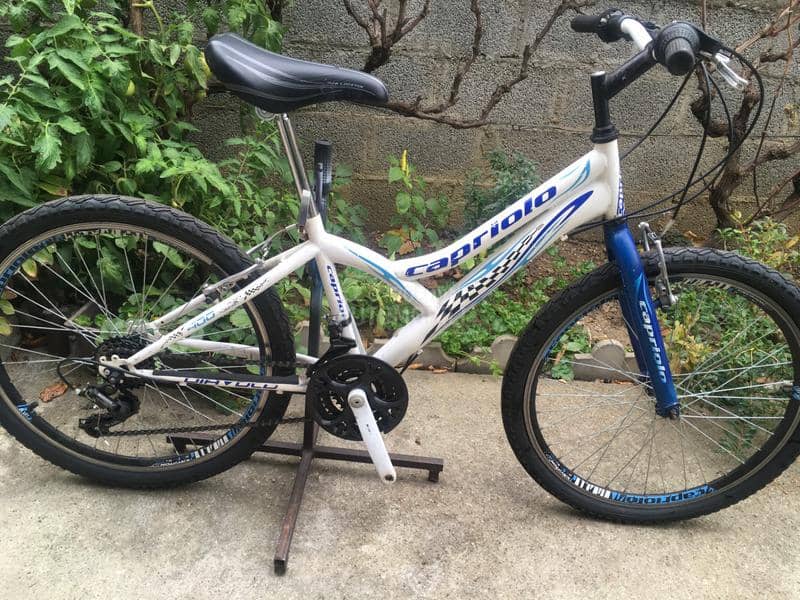 Capriolo Diavolo 240 Belo Plavi