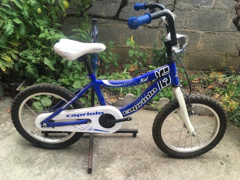 Capriolo Kid 16 Plavi