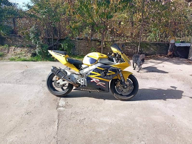 Honda CBR 954RR