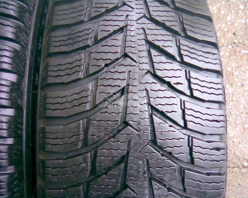 Nokian 225/55 R17 Zimska