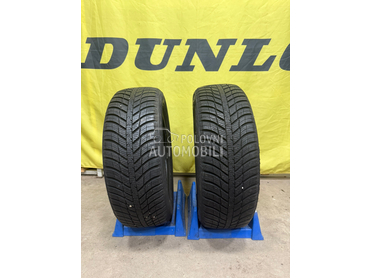 Nexen 195/55 R16 Sve sezone