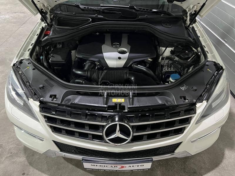 Mercedes Benz ML 250 