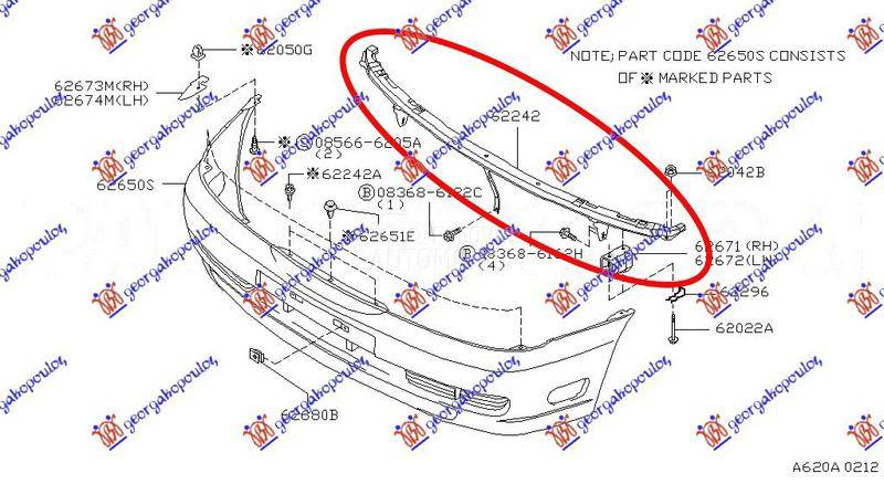 SINA PREDNJEG BRANIKA