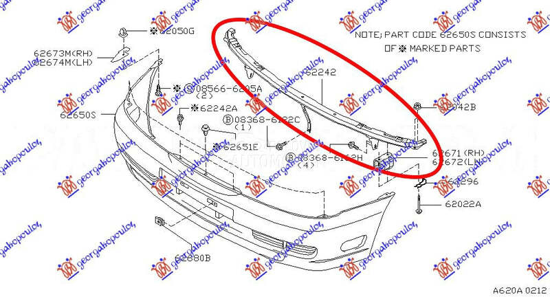 SINA PREDNJEG BRANIKA