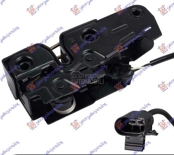 BRAVA HAUBE NA VEZNOM LIMU (2