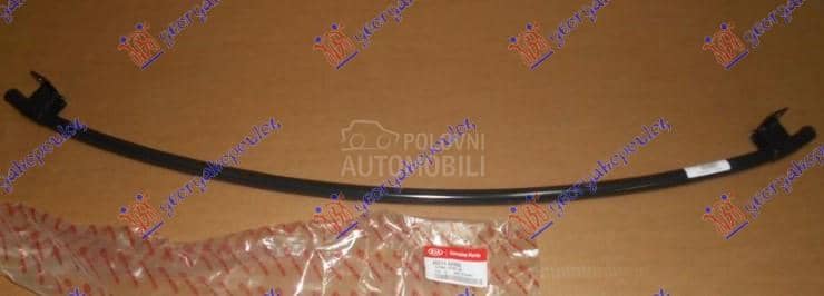 SINA PREDNJEG BRANIKA DONJA