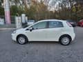 Fiat EVO TNG P L I N