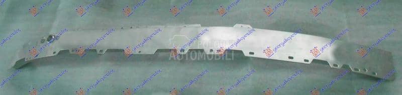 SINA PREDNJEG BRANIKA...