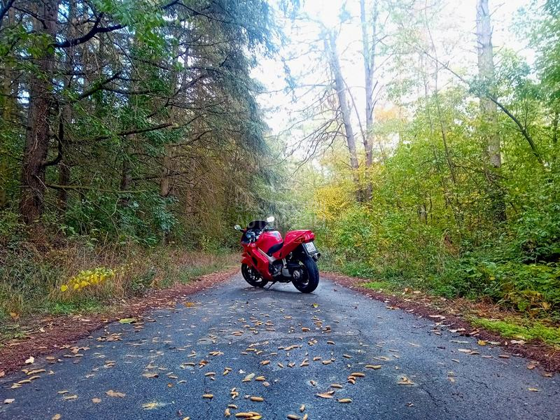 Honda VFR 800 VFR800