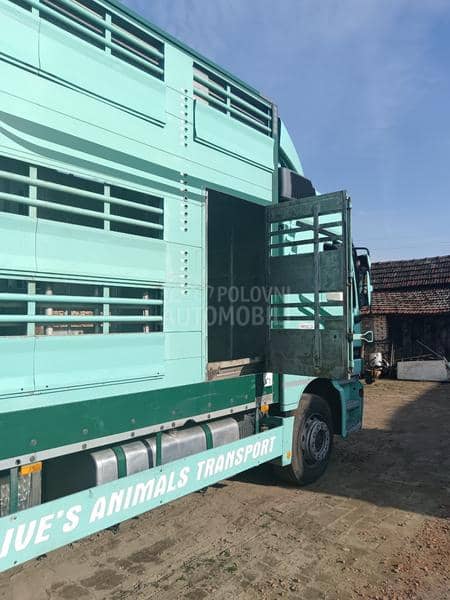 Mercedes Benz STOČAR