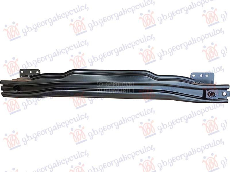 SINA ZADNJEG BRANIKA